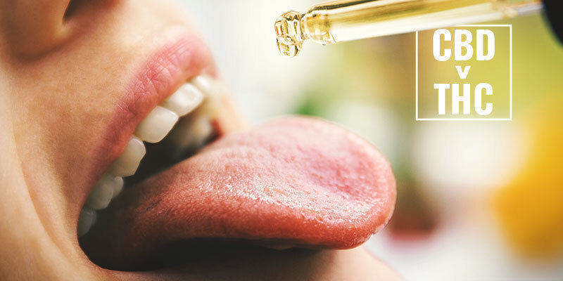 Kann CBD Im Menschlichen Körper In THC Umgewandelt Werden? Kann CBD im menschlichen Körper in THC umgewandelt werden?