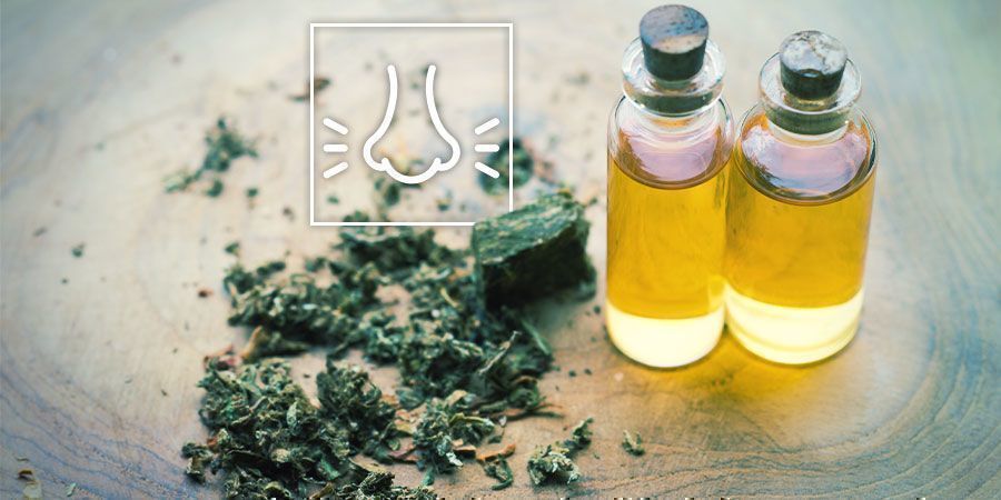 Denke An Die Terpene Denke an die Terpene