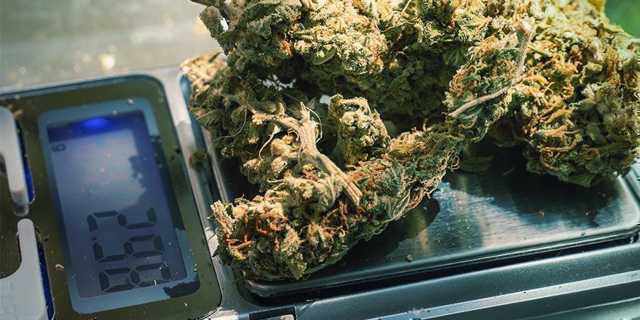 Probiere Unterschiedliche Dosierungen Aus Probiere unterschiedliche Dosierungen aus