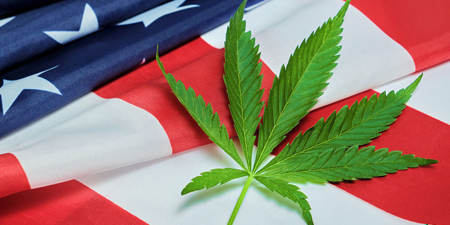 Wie Groß Ist Die Cannabisbranche In Den USA? Wie Groß Ist Die Cannabisbranche In Den USA?