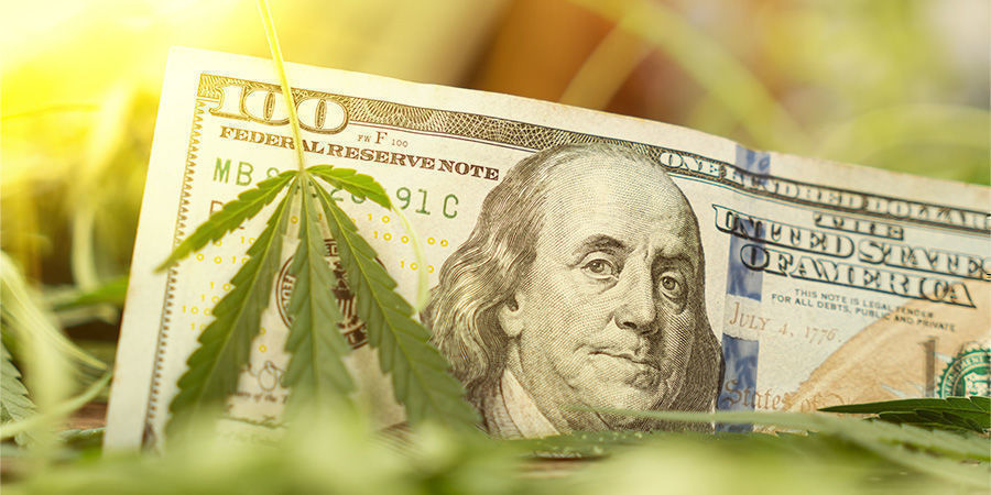 Die Zukunft Ist Rosig, Die Zukunft Ist Grün Die Zukunft Ist Rosig, Die Zukunft Ist Grün