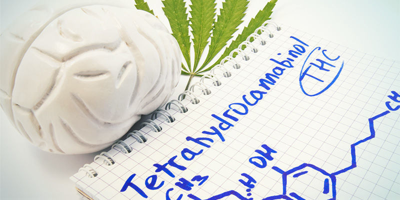 Bring Alles Zusammen, Um Der Menschlichen Rasse Zu Helfen Bring Alles Zusammen, Um Der Menschlichen Rasse Zu Helfen