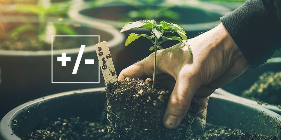 Vor- Und Nachteile Der Verwendung Von Erde Vor- Und Nachteile Der Verwendung Von Erde