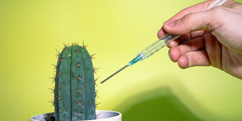 Chemisches Doping Chemisches Doping