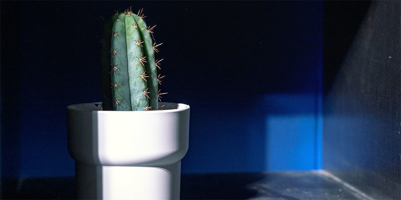 Vollschatten Vollschatten