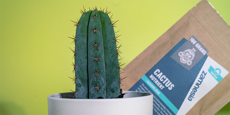 Nährstoffgehalt Nährstoffgehalt