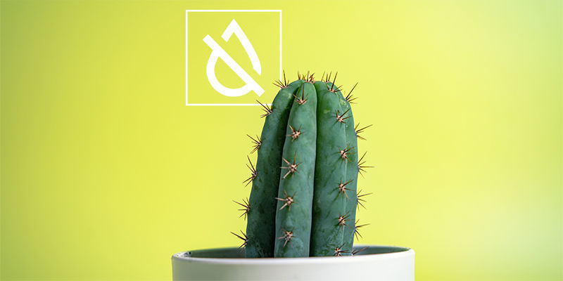 Wasserentzug Wasserentzug