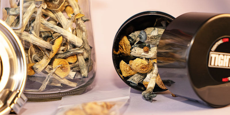 Anleitung: So Lagert Man Getrocknete Pilze Anleitung: So lagert man getrocknete Pilze