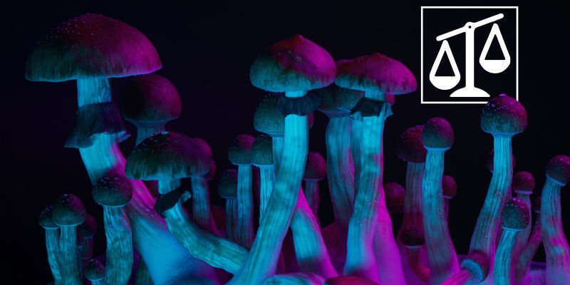 Unterschiede Zwischen Psychedelika Unterschiede zwischen Psychedelika