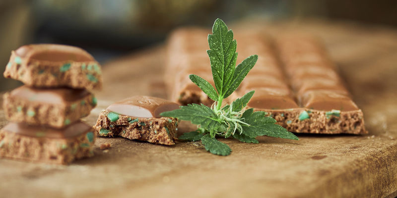Cannabis-Schokolade Cannabis-Schokolade