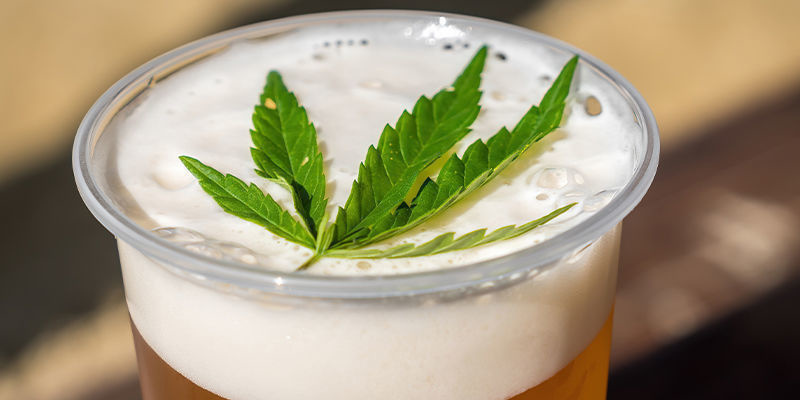 Cannabisbier Cannabisbier