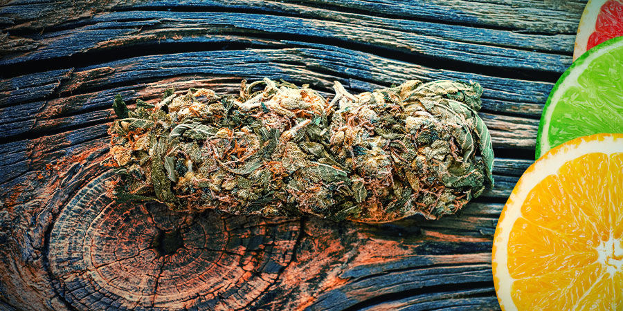 AK-47: AROMA UND WIRKUNG