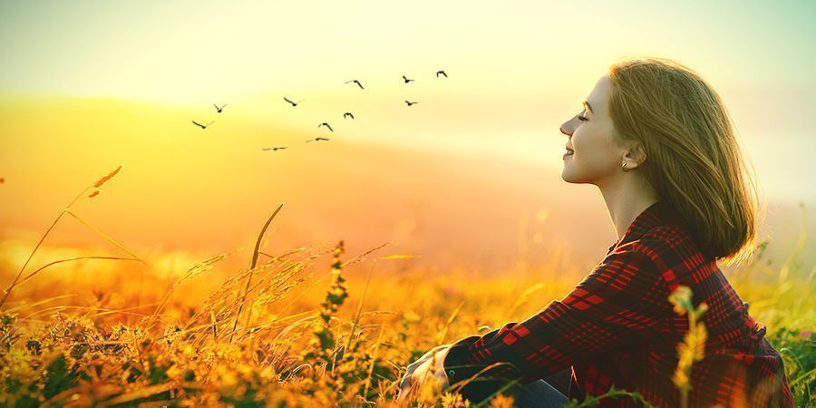 Zauberpilze Können Deine Persönlichkeit Verändern ZAUBERPILZE KÖNNEN DEINE PERSÖNLICHKEIT VERÄNDERN