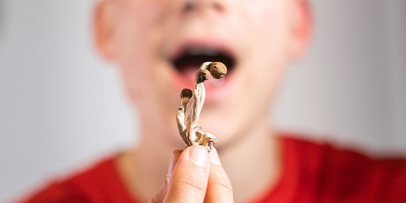 Gehirn/Körper-Interaktion Gehirn/Körper-Interaktion