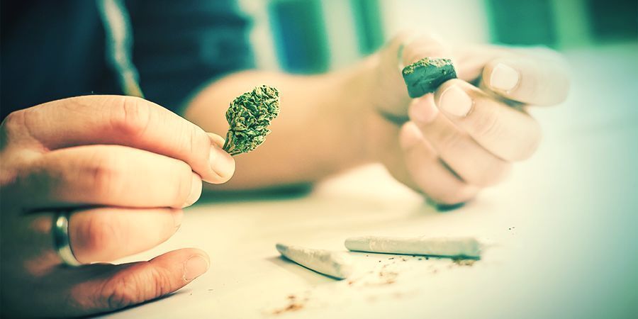 Wie Man Rosin Hasch Herstellt Wie Man Rosin Hasch Herstellt