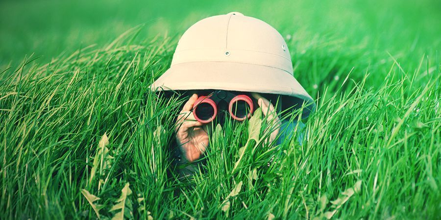 Verstecke Deinen Vorrat im Freien Verstecke Deinen Vorrat im Freien