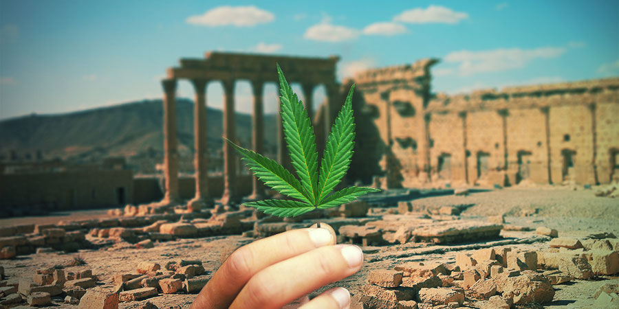 Ein Kurzer Geschichtlicher Überblick Zur Hanfpflanze EIN KURZER GESCHICHTLICHER ÜBERBLICK ZUR HANFPFLANZE