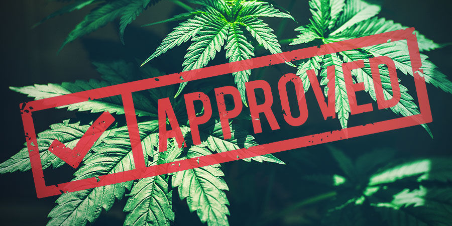 Jüngste Entwicklungen Und Die Zukunft Von Hanf JÜNGSTE ENTWICKLUNGEN UND DIE ZUKUNFT VON HANF