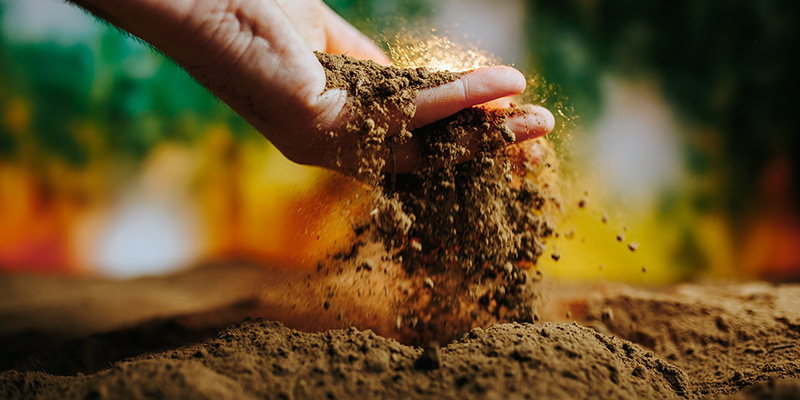 4. Tipp: Baue dein Cannabis im richtigen Boden/Medium an 4. Tipp: Baue dein Cannabis im richtigen Boden/Medium an