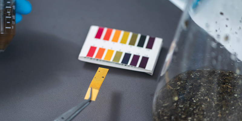 7. Tipp: Halte den für deine Cannabispflanzen richtigen pH-Wert ein 7. Tipp: Halte den für deine Cannabispflanzen richtigen pH-Wert ein