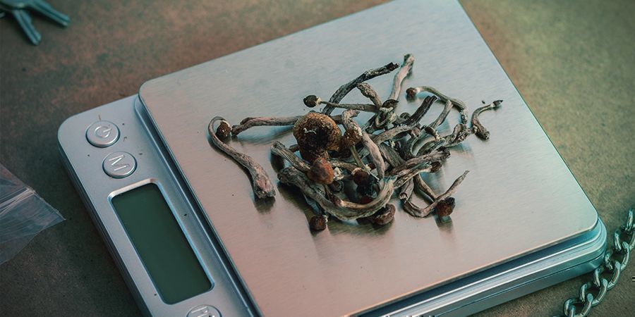 Was Du Bedenken Solltest, Bevor Du Dir Eine Waage Holst WAS DU BEDENKEN SOLLTEST, BEVOR DU DIR EINE WAAGE HOLST