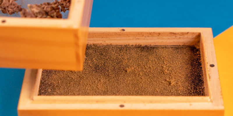 Kein Kummer, Nur Kief! Kein Kummer, Nur Kief!