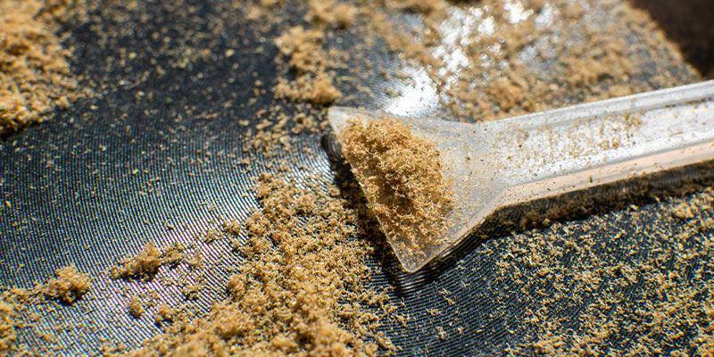 Was Ist Kief? Was Ist Kief?