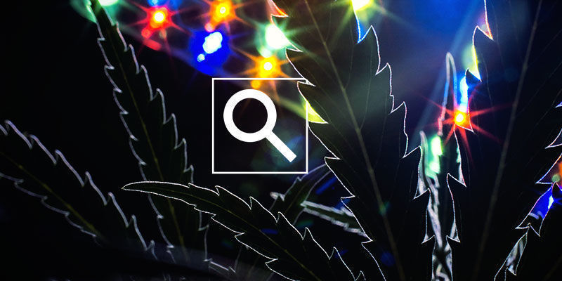 Wie Man Das Lichtspektrum Seiner Anbaulampen Überprüft Wie Man Das Lichtspektrum Seiner Anbaulampen Überprüft