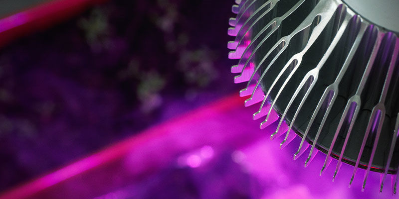 Welches Lichtspektrum Für Autoflowering Cannabis? Welches Lichtspektrum Für Autoflowering Cannabis?