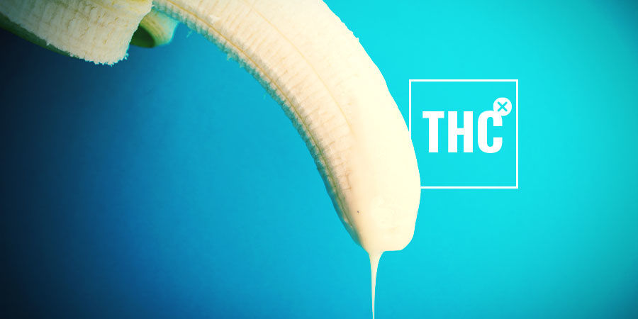 Kann Cannabis-Gleitgel High Machen? Kann Cannabis-Gleitgel high machen?