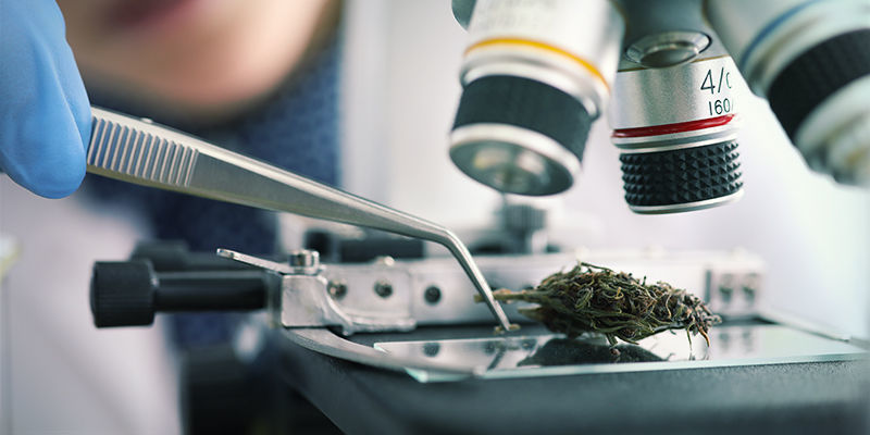 Verstehen, Was Uns High Macht Verstehen, Was Uns High Macht