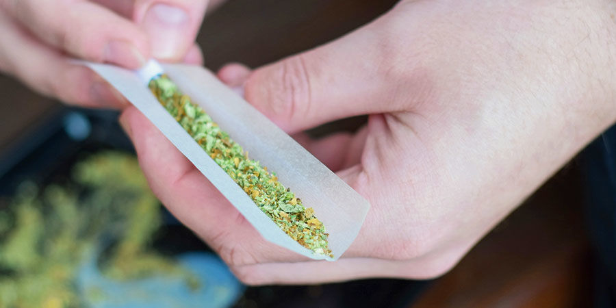 Entwicklung Einer Cannabistoleranz: Was Bedeutet Das? Entwicklung Einer Cannabistoleranz: Was Bedeutet Das?