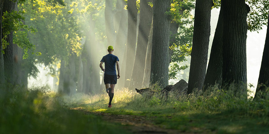 So Senkt Man Seine Cannabistoleranz So Senkt Man Seine Cannabistoleranz