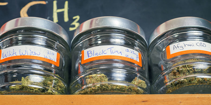 Abwechslung Ist Die Würze Des Lebens – Rauche Eine Andere Sorte Abwechslung Ist Die Würze Des Lebens – Rauche Eine Andere Sorte