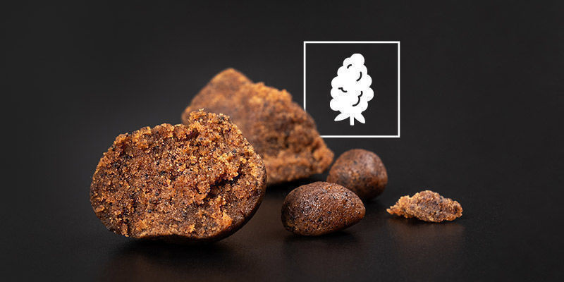 Wie Magst Du Dein Hasch Am Liebsten? Wie Magst Du Dein Hasch Am Liebsten?