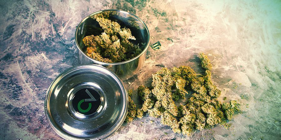 Cannabis Aufbewahren CVault Cannabis Aufbewahren CVault