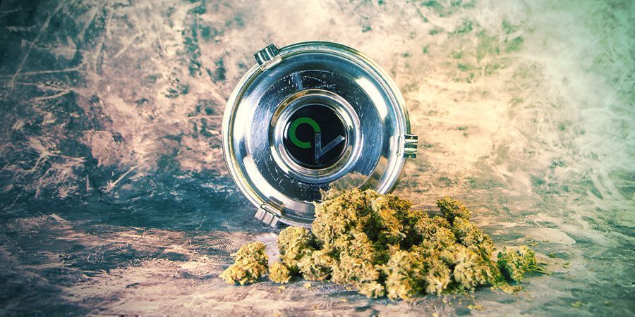 Test CVault Test CVault