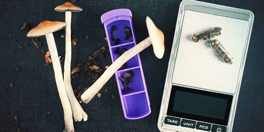 Zauberpilzkapseln Zauberpilzkapseln