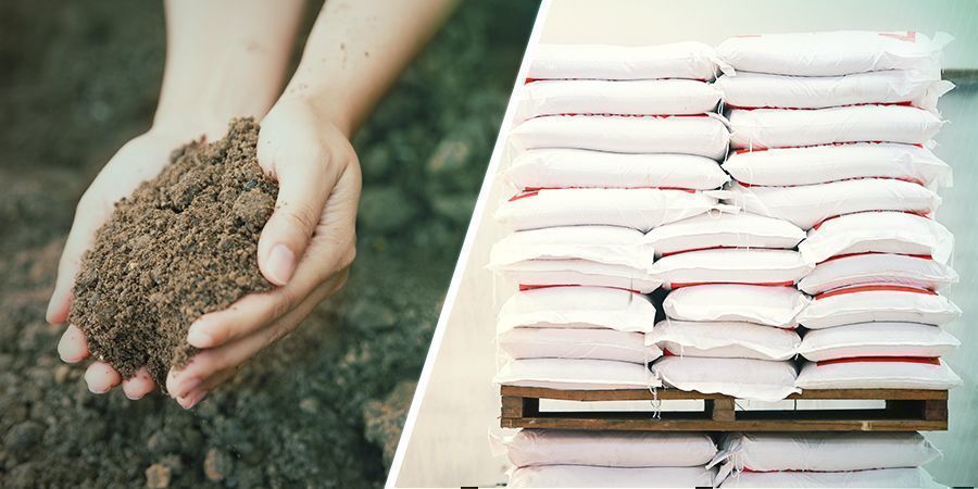 Glaube Nicht; Dass Irgendeine Erde Der Bringer Ist Glaube Nicht; Dass Irgendeine Erde Der Bringer Ist