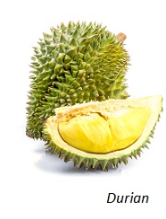 Durian Durian