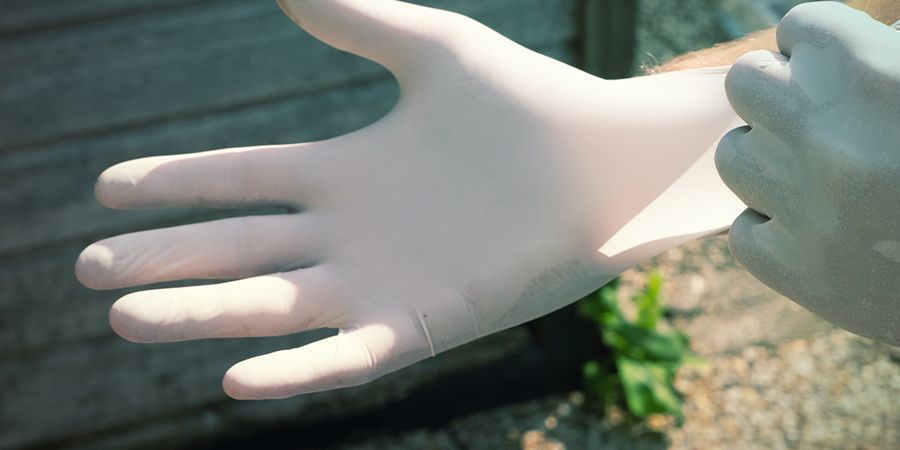 Was Genau Ist Die Sterile Technik Eigentlich? Was Genau Ist Die Sterile Technik Eigentlich Für Die Zucht Von Magic Mushrooms