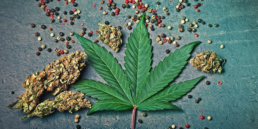 Power Flower: Flavour & Effects