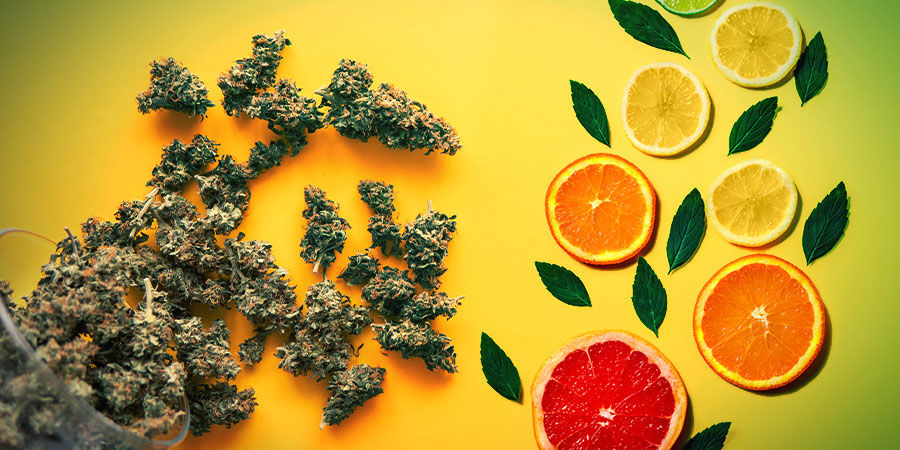 Sour Diesel: Aroma Und Wirkung SOUR DIESEL: AROMA UND WIRKUNG