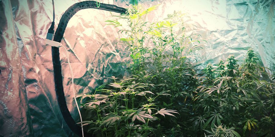 Dein System Auf 110% Laufen Lassen Dein System Auf 110% Laufen Lassen