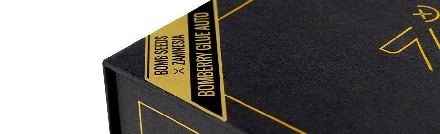 Bomberry Glue Auto Bomberry Glue Auto detail