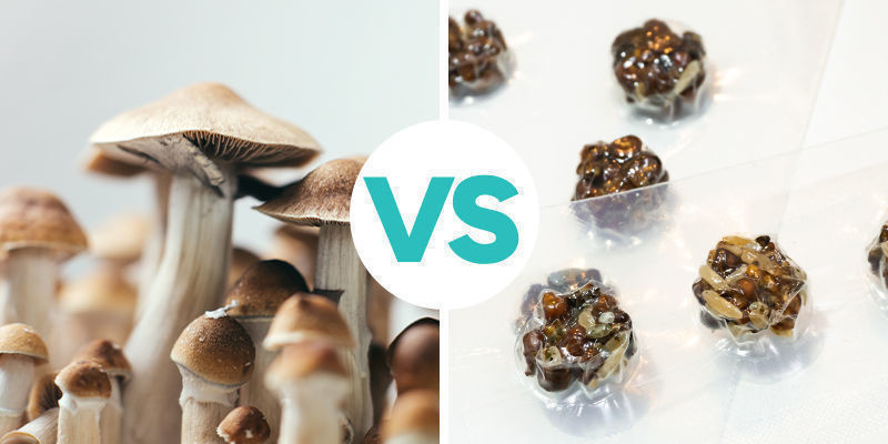 Worin besteht der Unterschied zwischen magischen Trüffeln und Magic Mushrooms?