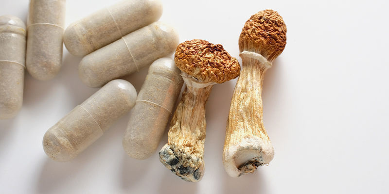 Wie konsumiert man magische Trüffel und Magic Mushrooms?