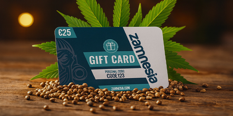Zamnesia-Geschenkgutscheine