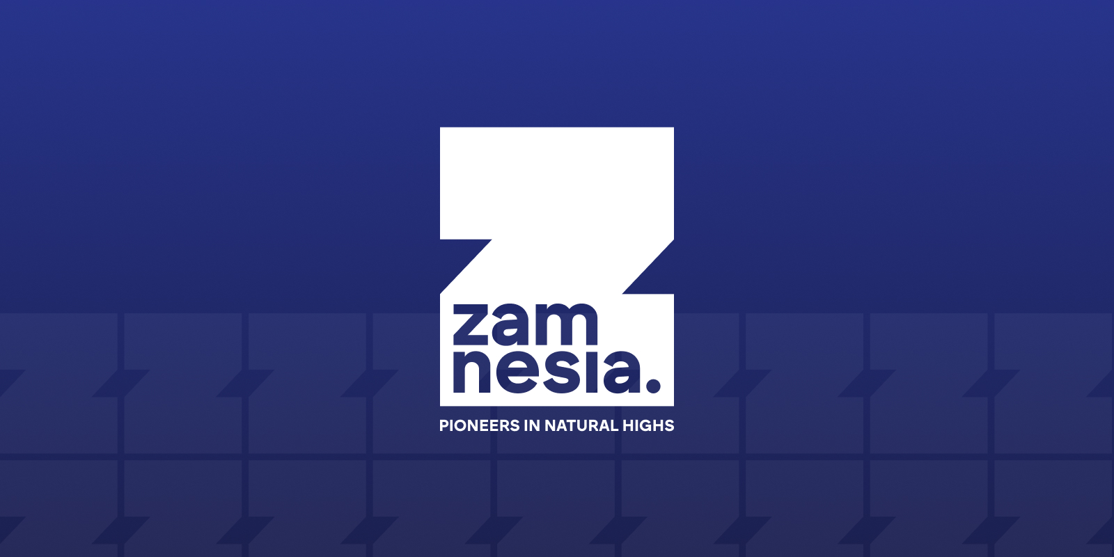 Zamnesia Geschäftsbedingungen