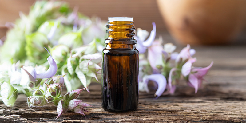 Extrakte und Tinkturen Extrakte und Tinkturen